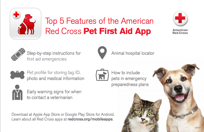 First aid for pets - new app! - First Aid for Free