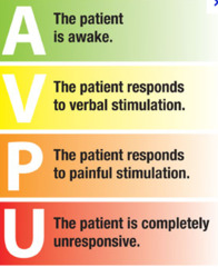 Conscious Level Chart Assessment