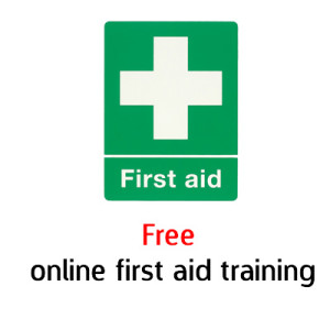 Online CPR course
