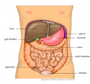 Abdominal emergencies