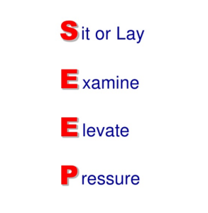 What does SEEP stand for?