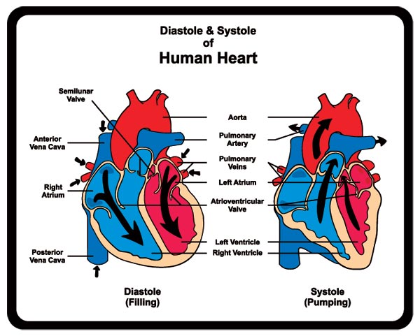 What is clearance the diastolic