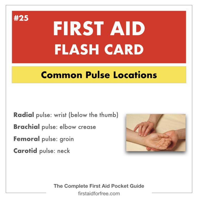 How to Measure and Record Vital Signs First Aid for Free