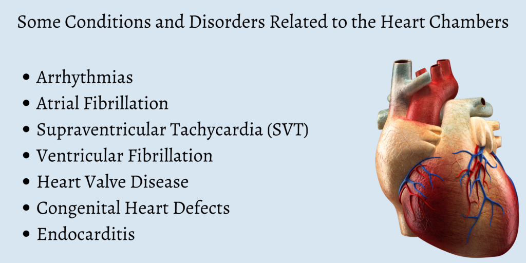 Conditions and Disorders Related to the Heart Chambers