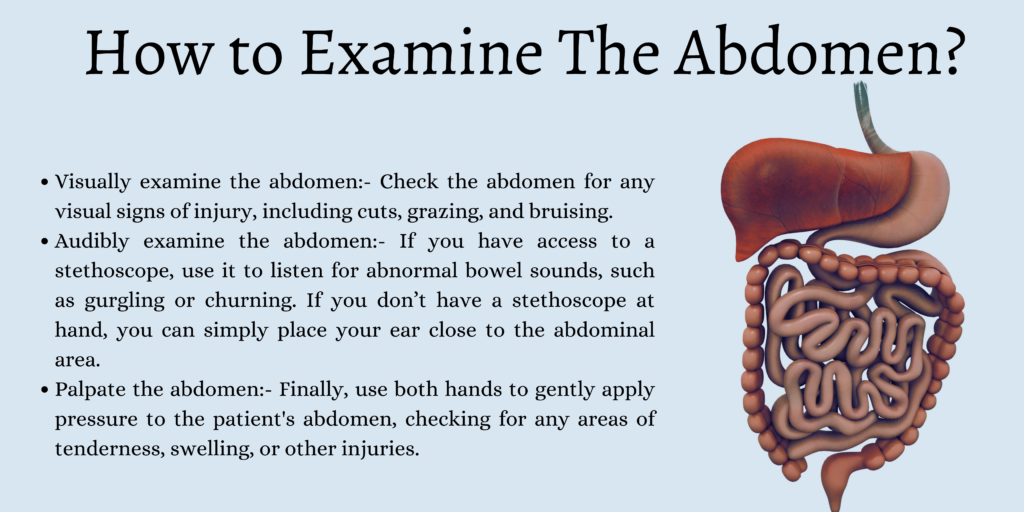 How to Examine The Abdomen?