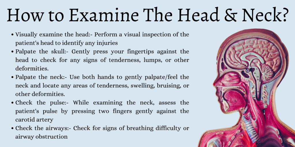 How to Examine The Head & Neck