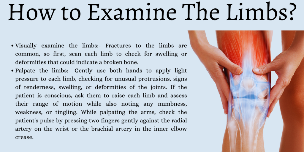 Examine The Limbs