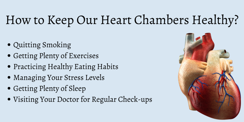 How to Keep Our Heart Chambers Healthy?