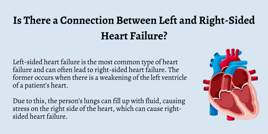 Is There a Connection Between Left and Right-Sided Heart Failure