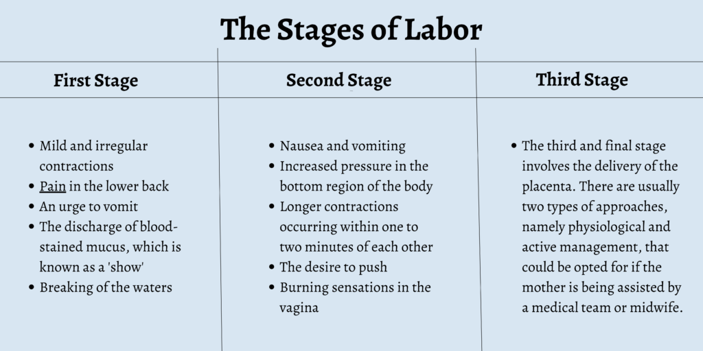 The Stages of Labor