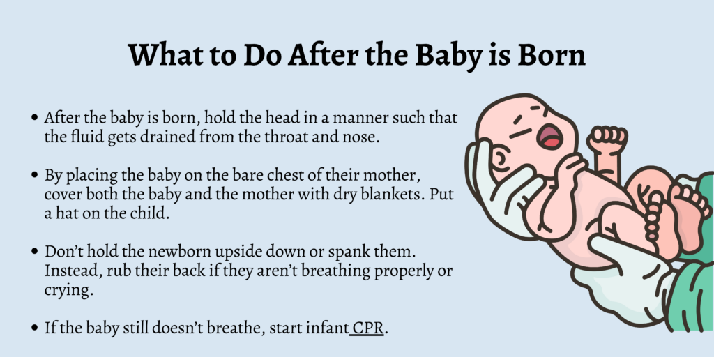 What to Do After the Baby is Born