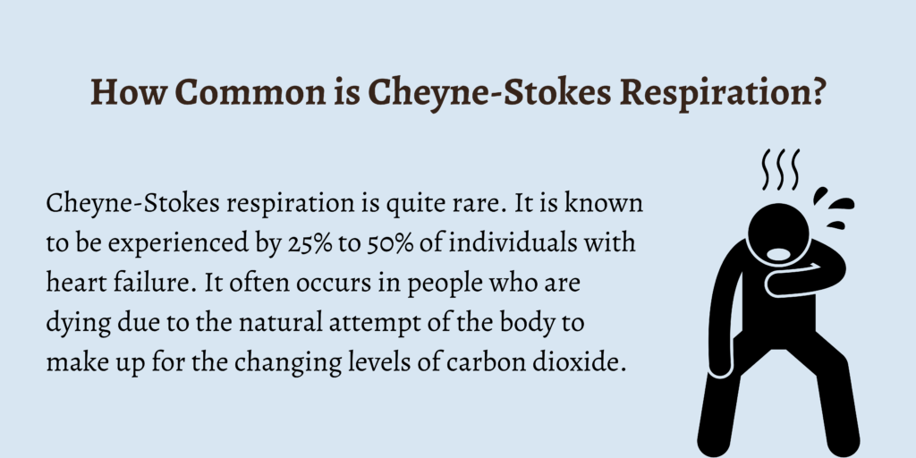 How Common is Cheyne-Stokes Respiration