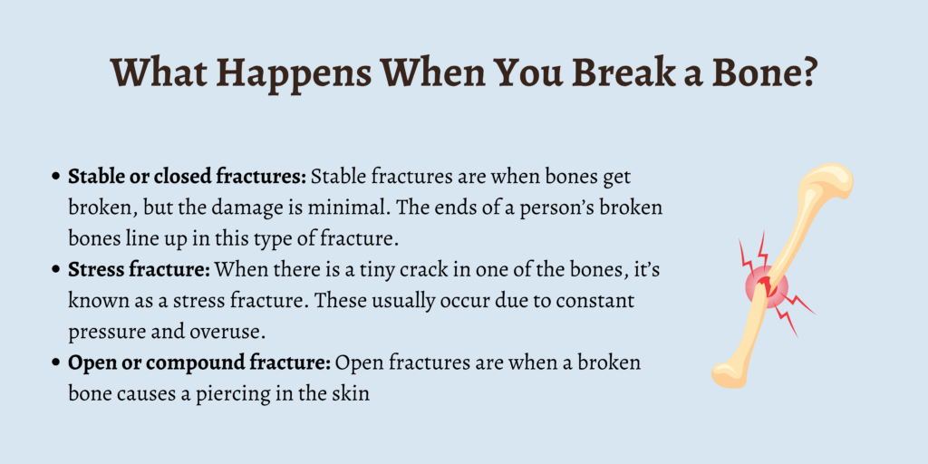 What Happens When You Break a Bone