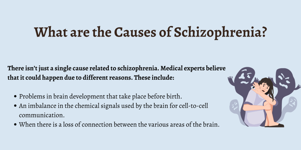 What are the Causes of Schizophrenia