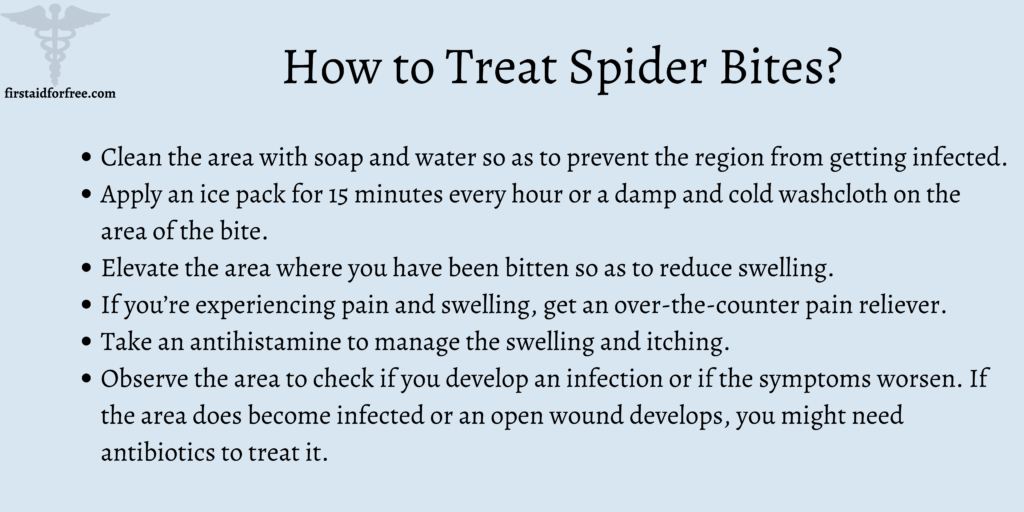 How to Treat Spider Bites