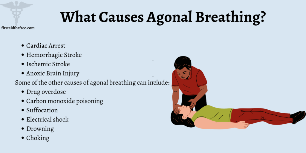 What Causes Agonal Breathing